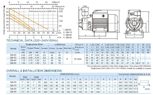 Iron Cast Brass Impeller Electric Peripheral Vortex Micro Auto Surface Water Pump Graden Pump for Agriculture Irrigation (QB60)